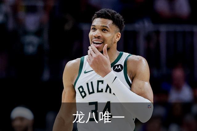 龙八唯一企业介绍